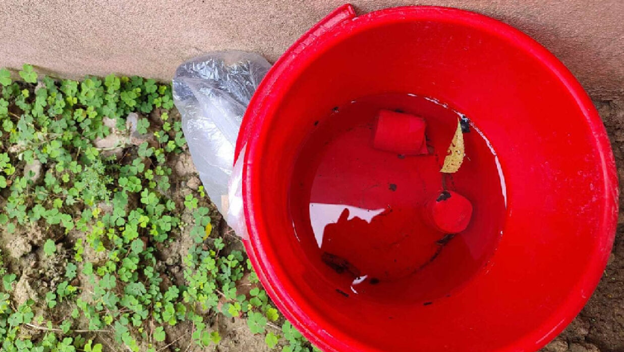 উদ্ধারকরা বস্তু