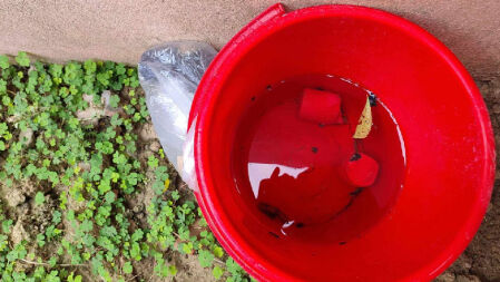 প্রাথমিক বিদ্যালয় থেকে ২টি বোমাসদৃশ বস্তু উদ্ধার