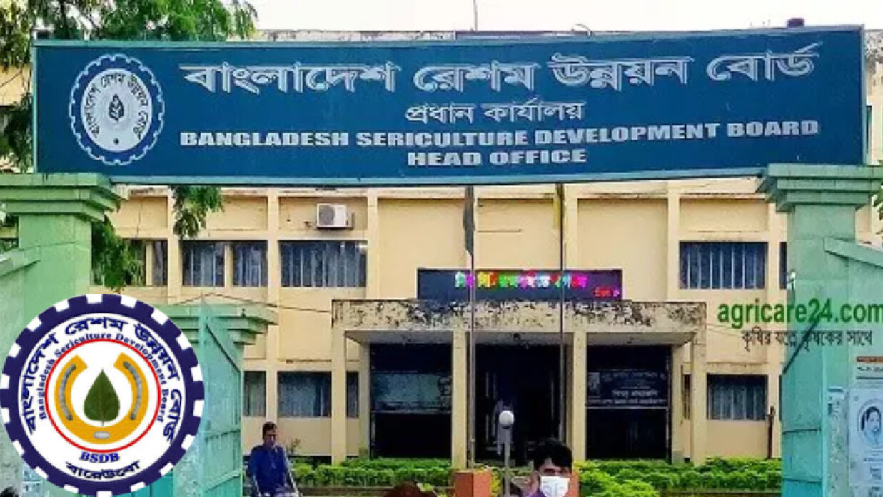 ৩ পদে ৫০ কর্মী নিয়োগে আবেদন চলছে রেশম উন্নয়ন বোর্ডে 