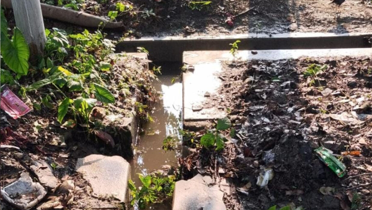 নালা-নর্দমা পরিষ্কার না করায় জন্ম নিচ্ছে মশা