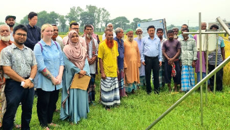 বাকৃবি গবেষণায় আর্সেনিক ঝুঁকি কমাতে ধানে নতুন সেচ পদ্ধতির সফলতা 