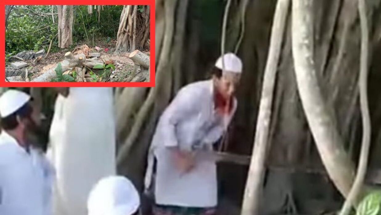 ‘শিরক’ আখ্যা দিয়ে কাটা হলো শতবর্ষী বটগাছ