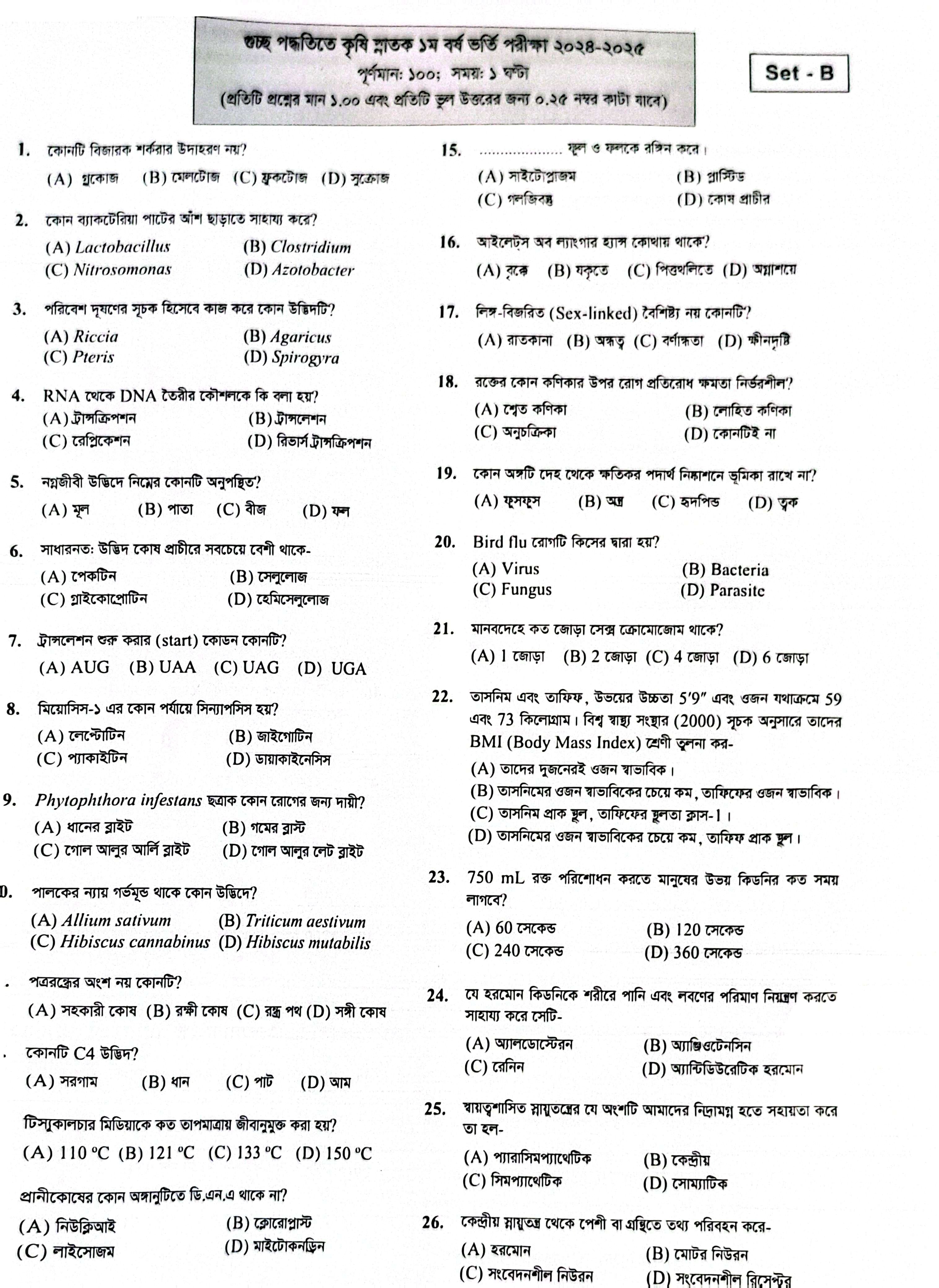 WhatsApp Image 2025-04-12 at 4-26-58 PM